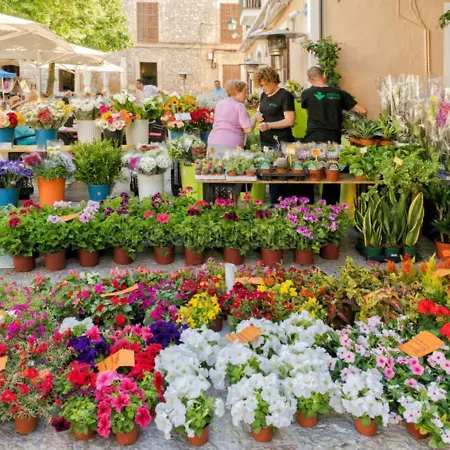 Marina De Namer Villa Pollenca