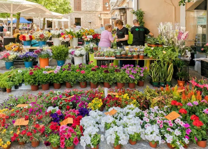 Marina De Namer Villa Pollensa